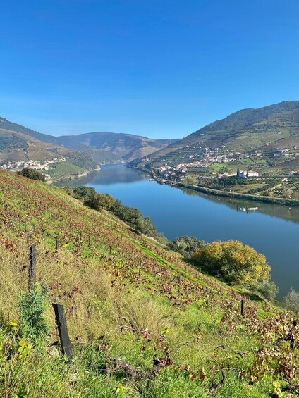 Picture 3 for Activity Quinta dos Murças: train, walking, lunch and wine tasting