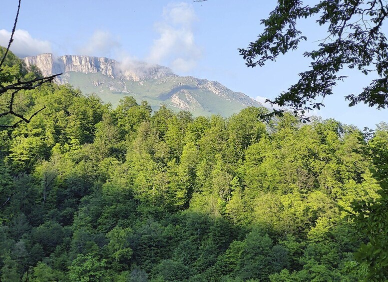 Picture 6 for Activity From Yerevan: Sevan, Dilijan, Haghartsin, Goshavank