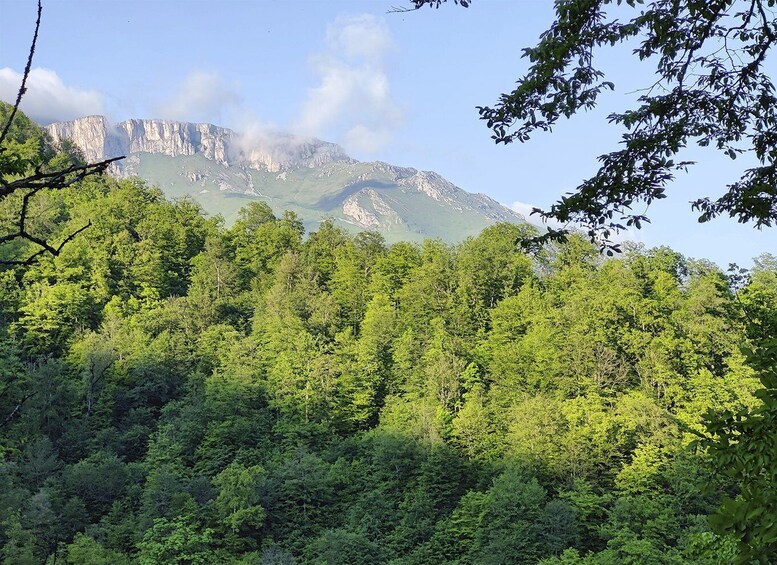 Picture 6 for Activity From Yerevan: Sevan, Dilijan, Haghartsin, Goshavank