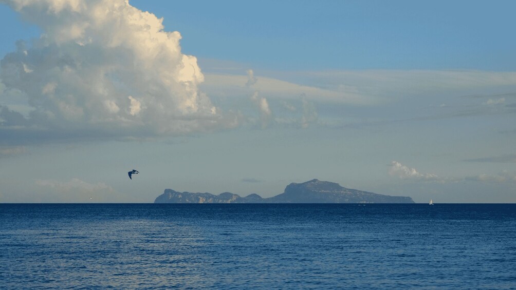 Picture 1 for Activity Capri A/R with tourist tour by sea