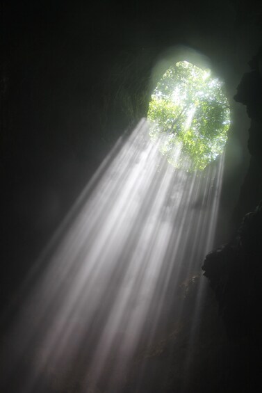 From Yogyakarta: Jomblang Cave Day Tour No Hidden Cost