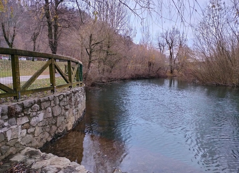 Picture 5 for Activity From Ljubljana: Lake Bled and Postojna Cave Day Trip