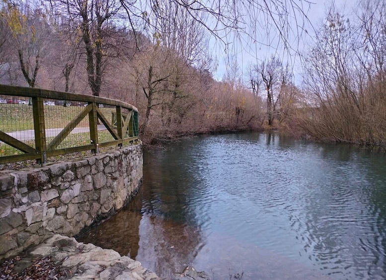 Picture 5 for Activity From Ljubljana: Lake Bled and Postojna Cave Day Trip