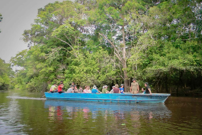 Picture 1 for Activity From Iquitos: 2-Day Amazon Rainforest Excursion