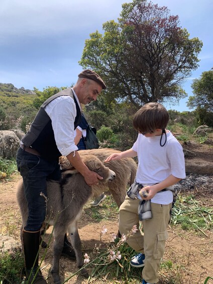 Picture 10 for Activity Cagliari: Picnic with Sardinian Donkeys