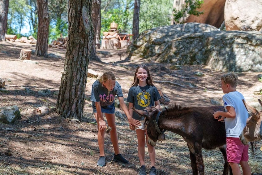 Picture 6 for Activity Cagliari: Picnic with Sardinian Donkeys