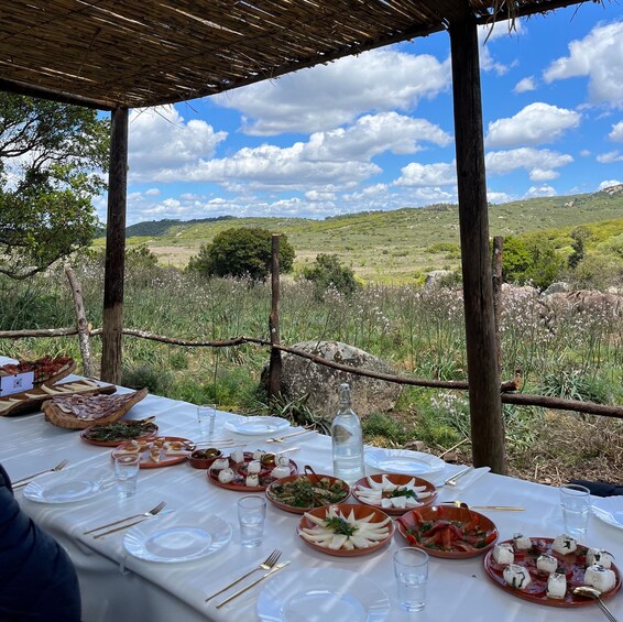 Picture 4 for Activity Cagliari: Picnic with Sardinian Donkeys