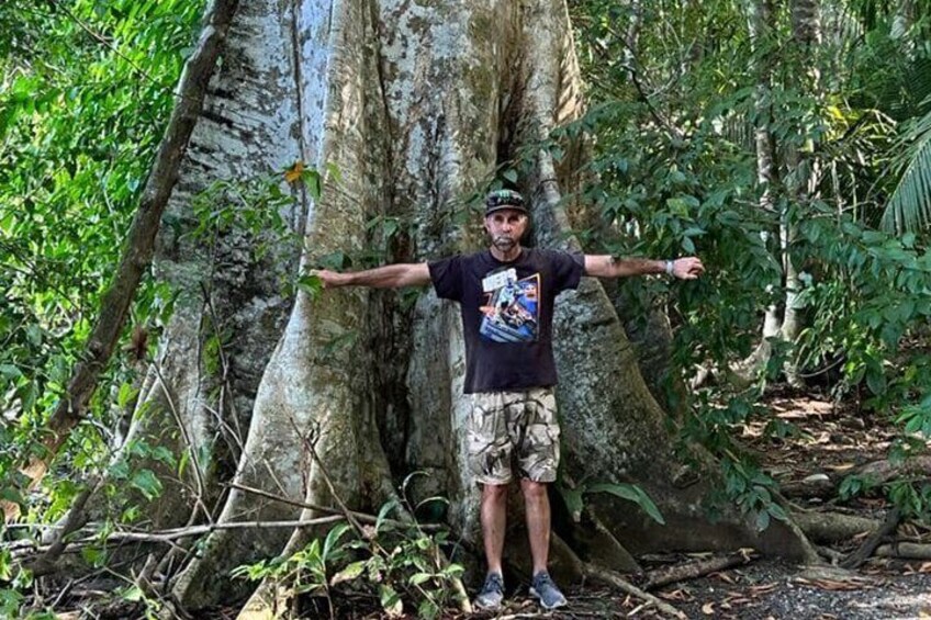 4 Hour Private Guided Tour in Osa Jungle