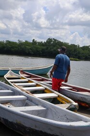 Almuerzo típico en la playa, recorrido por los manglares y pesca con nativo...