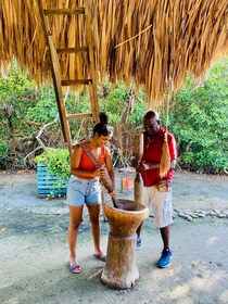 Déjeuner typique sur la plage, mangrove excursion et pêche avec les autocht...