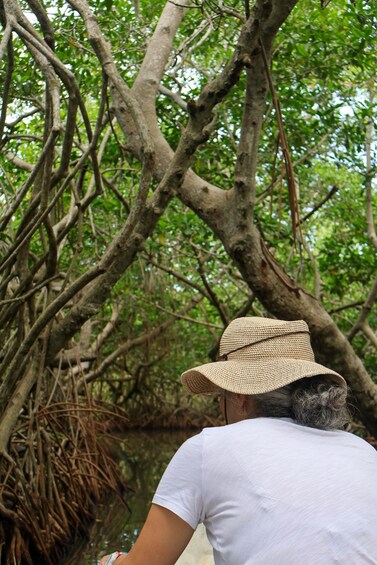 Picture 20 for Activity Typical lunch on beach, mangrove tour & fishing with natives