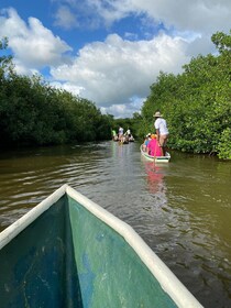 Almuerzo típico en la playa, recorrido por los manglares y pesca con nativo...