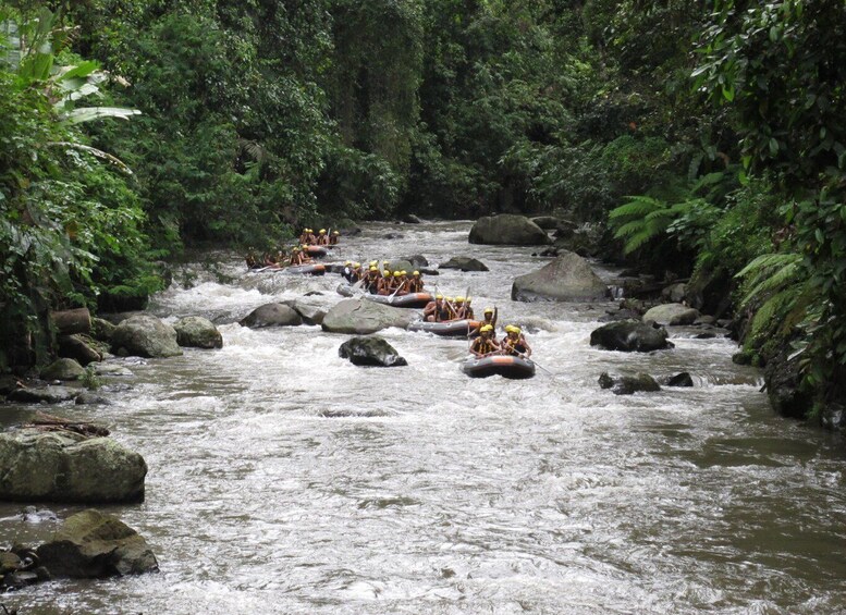 Picture 8 for Activity Bali Gorilla Cave Atv, Water Rafting and Monkey Forest Tour