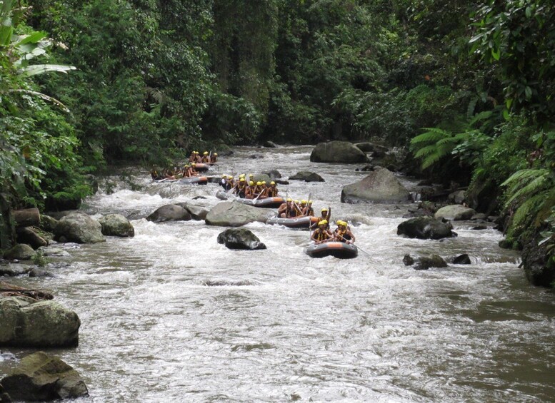 Picture 8 for Activity Bali Atv, Water Rafting and Monkey Forest Tour