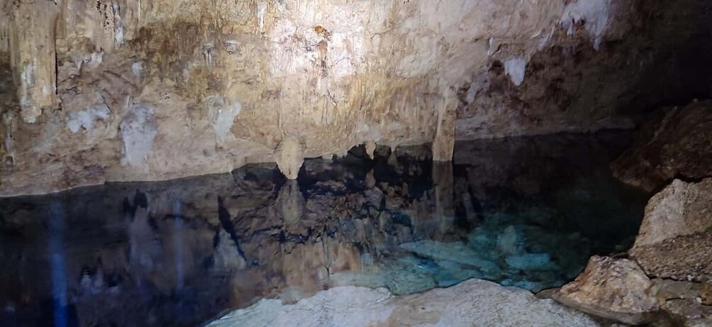 Picture 9 for Activity Bayahibe: National Park Jungle Walk & Snorkeling in Cenotes