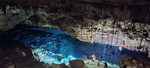 Bayahibe: National Park Jungle Walk & Snorkelling in Cenotes