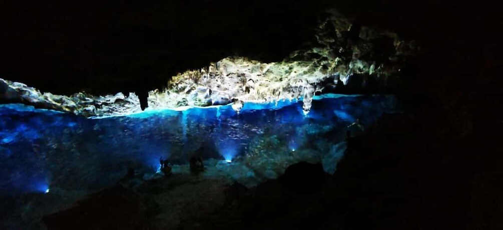 Picture 8 for Activity Bayahibe: National Park Jungle Walk & Snorkeling in Cenotes