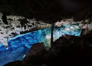 Bayahibe: National Park Jungle Walk & Snorkelling in Cenotes