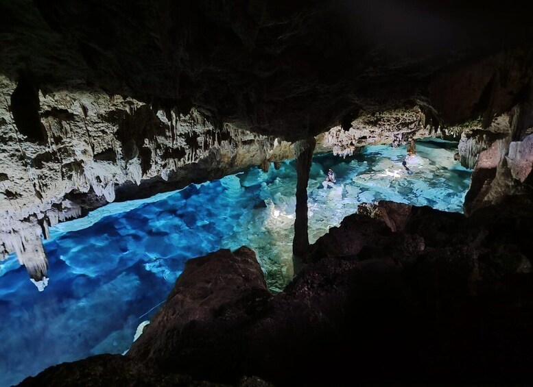 Bayahibe: National Park Jungle Walk & Snorkeling in Cenotes