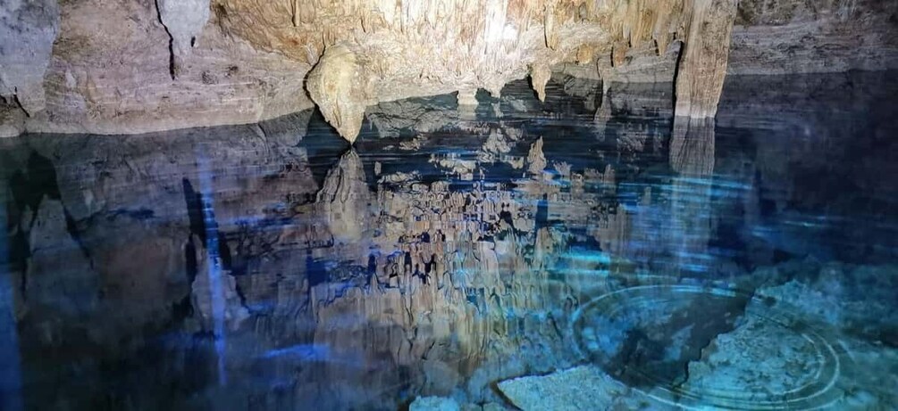 Bayahibe: National Park Jungle Walk & Snorkeling in Cenotes