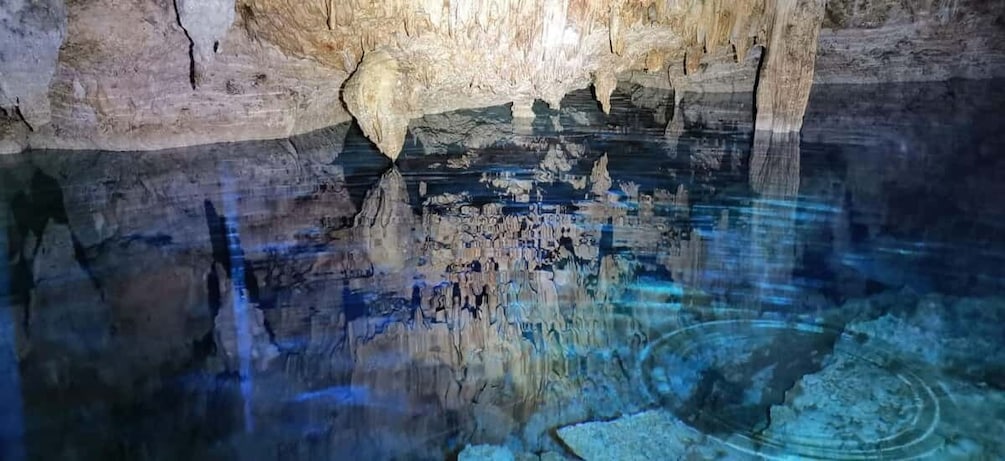 Bayahibe: National Park Jungle Walk & Snorkeling in Cenotes