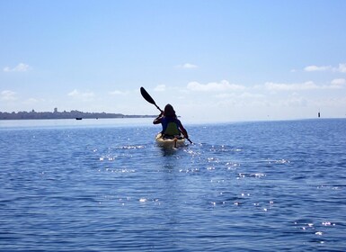 Marsala: Kayak Tour in Stagnone di Marsala Nature Reserve