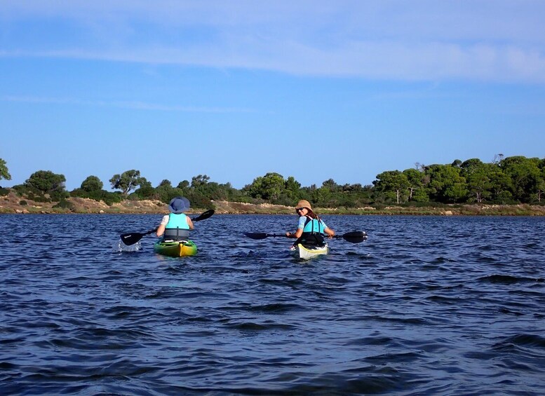 Picture 5 for Activity Marsala: Kayak Tour in Stagnone di Marsala Nature Reserve