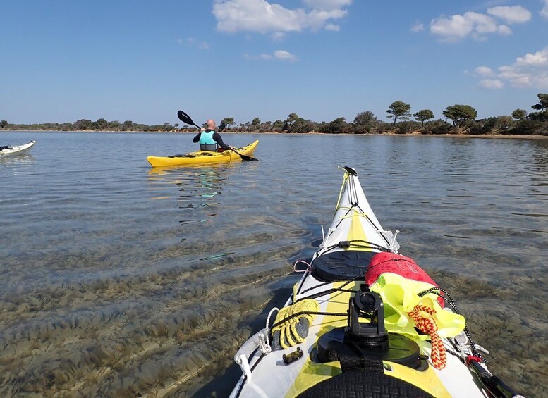 Picture 4 for Activity Marsala: Kayak Tour in Stagnone di Marsala Nature Reserve