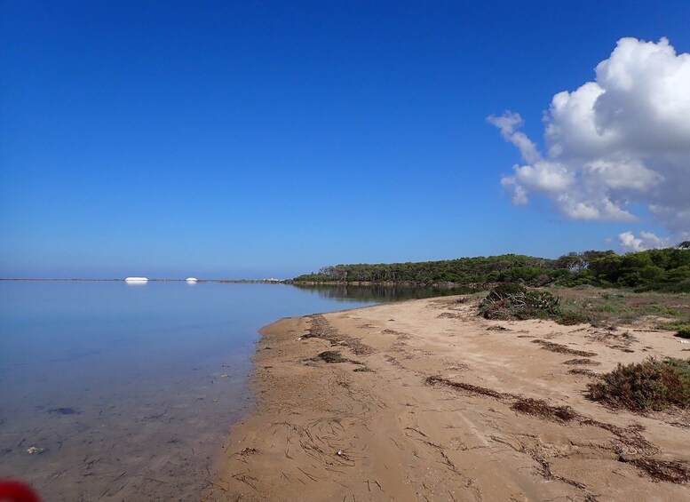 Picture 8 for Activity Marsala: Kayak Tour in Stagnone di Marsala Nature Reserve