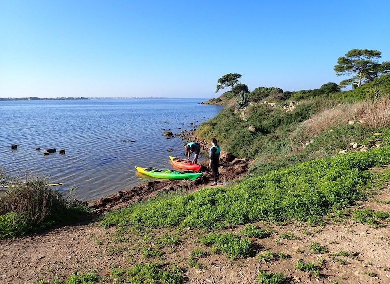 Picture 7 for Activity Marsala: Kayak Tour in Stagnone di Marsala Nature Reserve