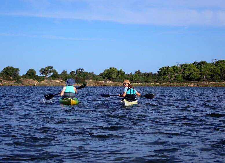 Picture 5 for Activity Marsala: Kayak Tour in Stagnone di Marsala Nature Reserve