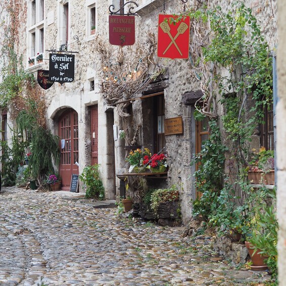 Picture 2 for Activity Pérouges : Medieval Village Private Guided Tour