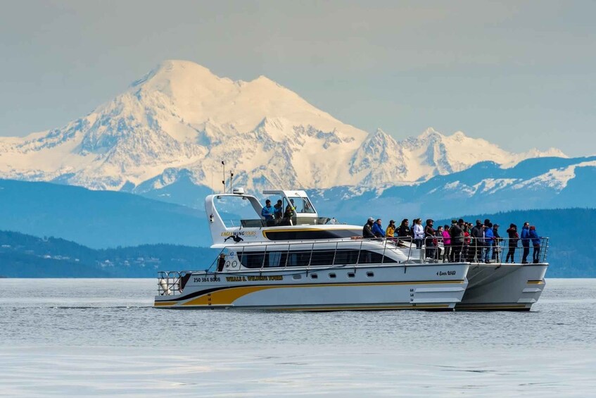 Picture 1 for Activity Victoria: Guided Whale and Wildlife-Watching Cruise