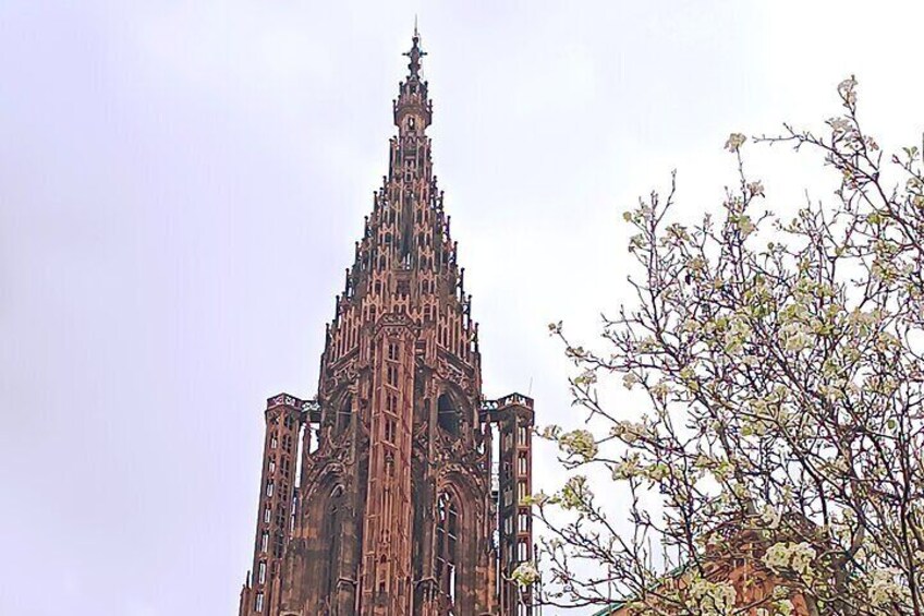 Visit to Strasbourg Cathedral