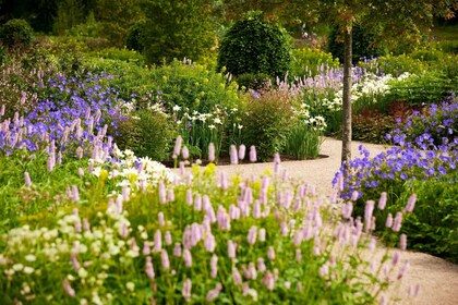 Bridgewater: Royal Horticultural Society Garden Ticket