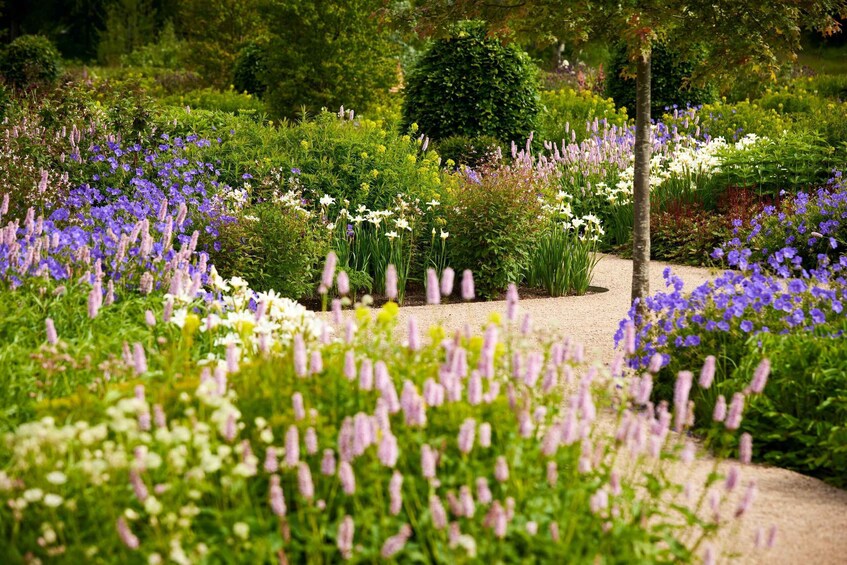 Bridgewater: Royal Horticultural Society Garden Ticket