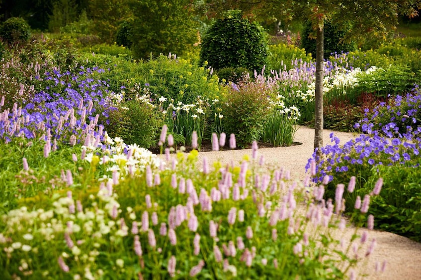 Bridgewater: Royal Horticultural Society Garden Ticket