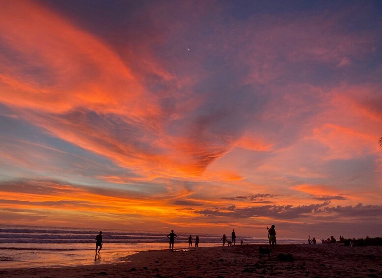 Picture 5 for Activity Jaco: Sunset Paragliding Flight in Puntarenas Province