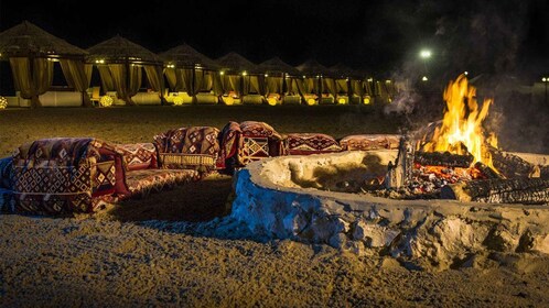 Doha: Safari nel deserto di un'intera giornata con pranzo o cena