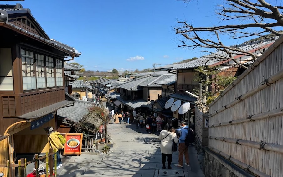 Picture 3 for Activity From Osaka: 10-hour Private Custom Tour to Kyoto