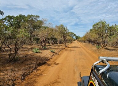 Safari de vida silvestre en el Parque Nacional de Yala desde Galle