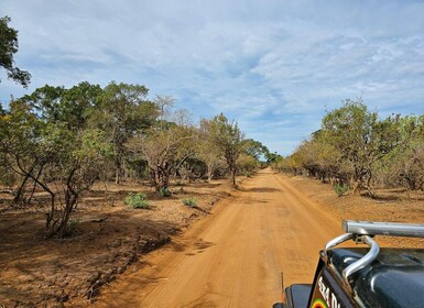 Safari de la faune du parc national de Yala de Galle