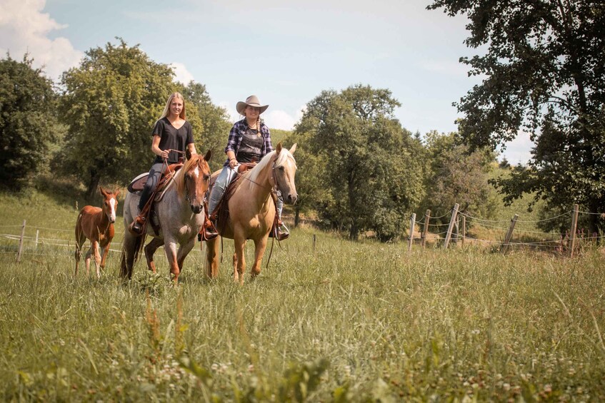 Picture 2 for Activity Upper Austria: landscape, forests, meadows