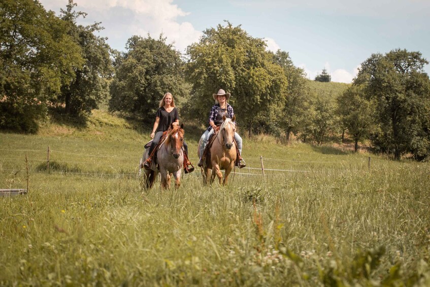 Picture 5 for Activity Upper Austria: landscape, forests, meadows