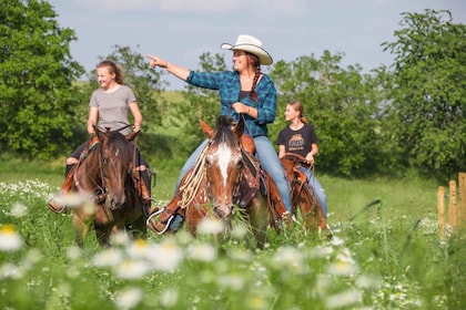 Upper Austria: landscape, forests, meadows