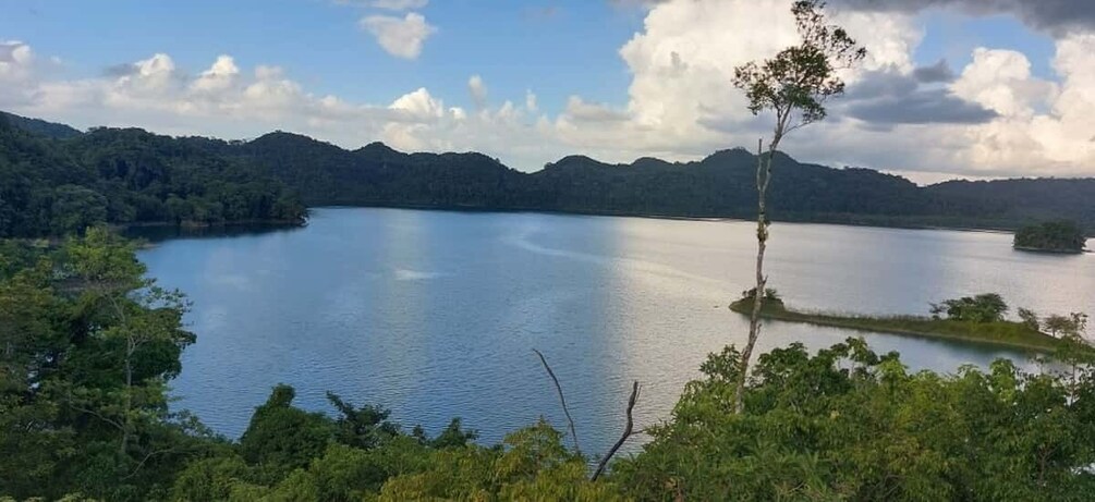 Picture 3 for Activity From Ocosingo: Guineo Lagoon Private Tour