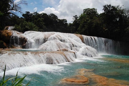 Site archéologique de Palenque avec Agua Azul et Misol-Ha