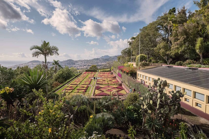 Picture 2 for Activity Botanical Garden & Funchal Old Town Private Tuk Tuk Tour