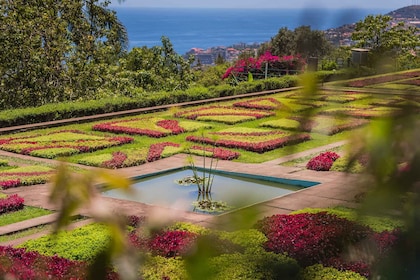 Funchal: Botaniska trädgården och Gamla stan - privat tuk-tuk-tur