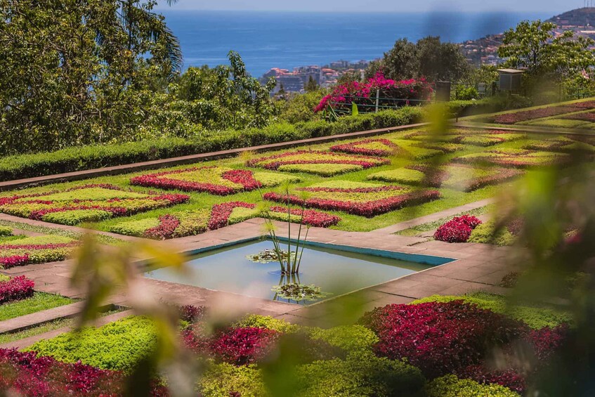 Botanical Garden & Funchal Old Town Private Tuk Tuk Tour